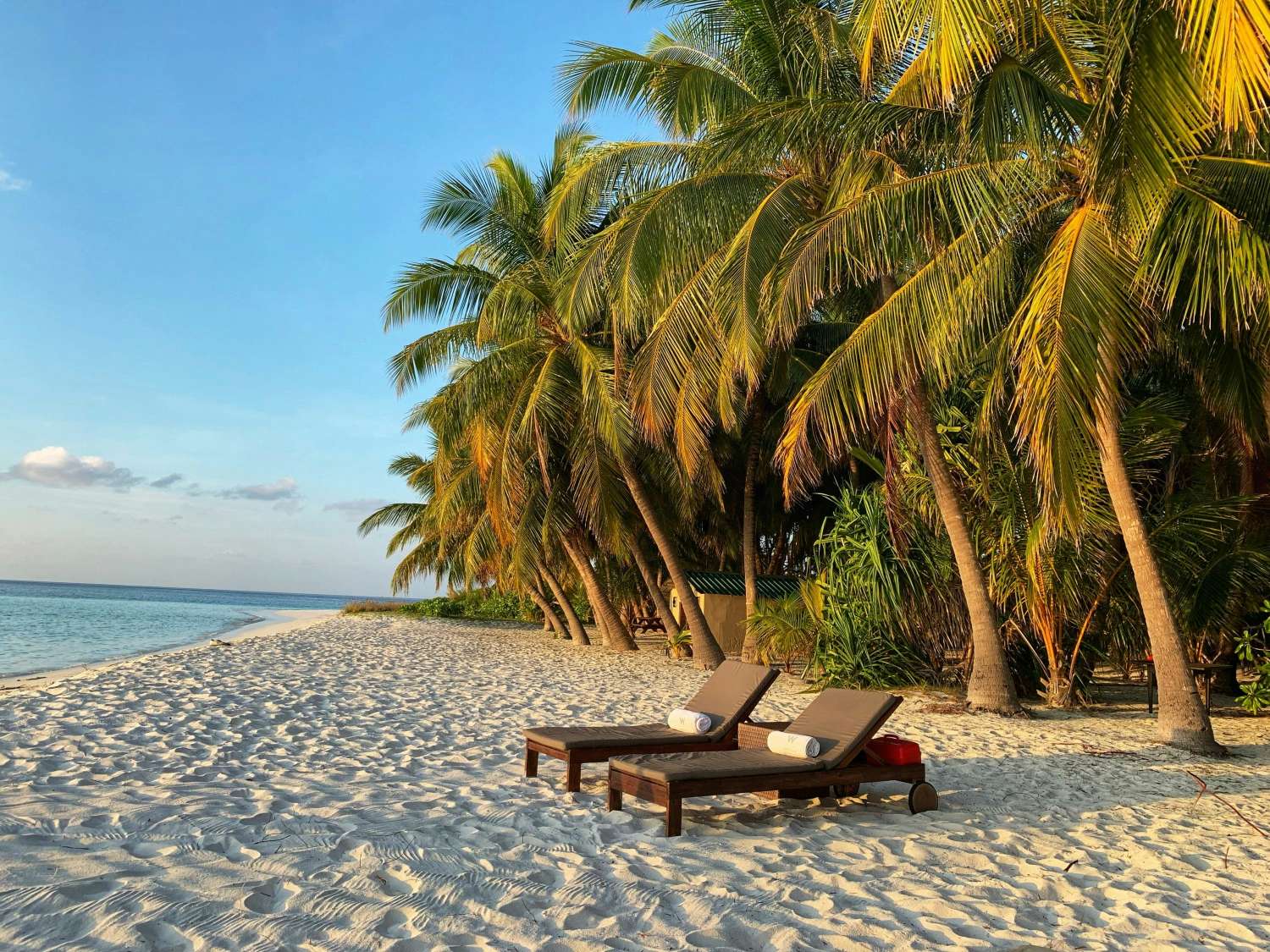 Looking for the best Indian food at Maldives? here are the 05 best resorts suggestion for you.