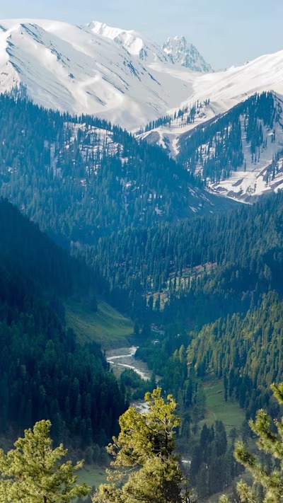 Katra Jammu Srinagar Tour Package || Srinagar and Katra 7-Night, 8-Day Holiday Package: A Journey of Beauty and Spirituality ||