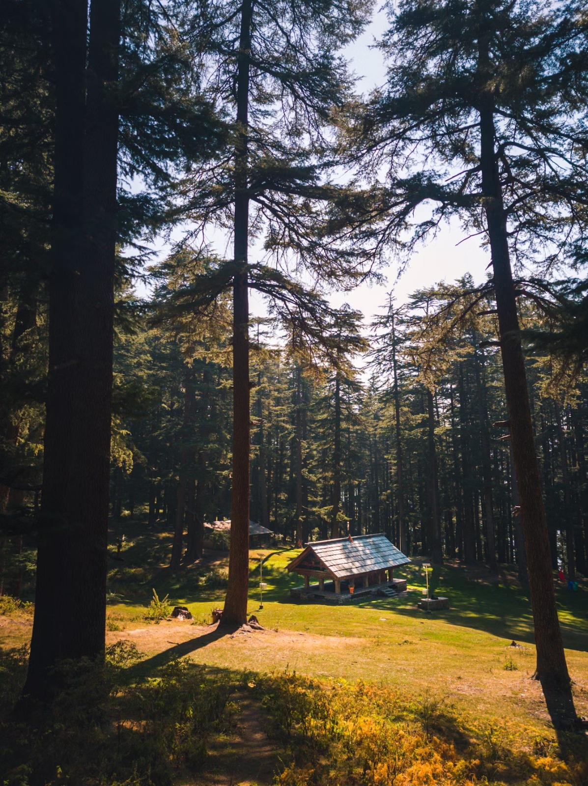 Shimla