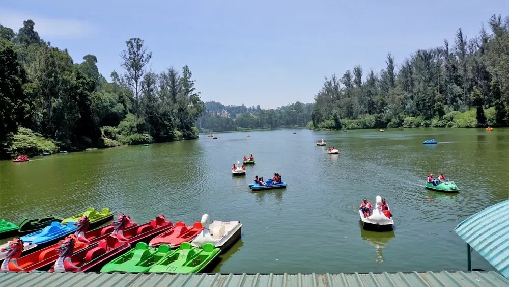 Ooty