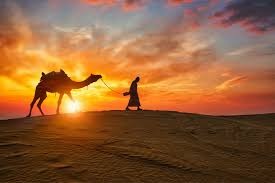 Jaisalmer: The Golden City of Desert Splendor and Historic Elegance