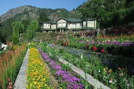 Nainital tour packages for 3 Night 4 Days - Travel On Ease