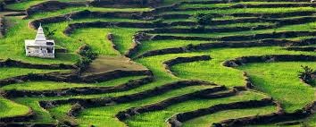 Ranikhet
