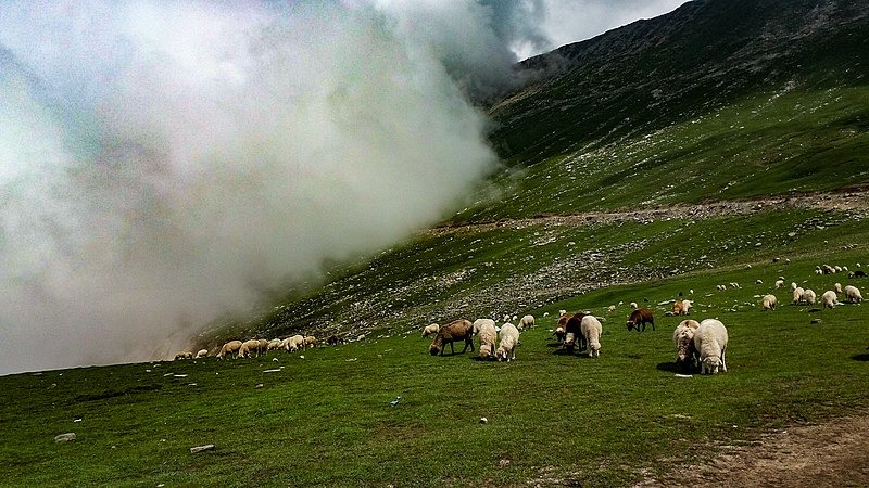 Sinthan Top   tour packages for 3 Night 4 Days - Travel On Ease