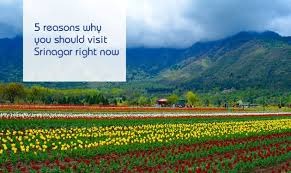 Srinagar tour packages for 7 Night 8 Days - Travel On Ease