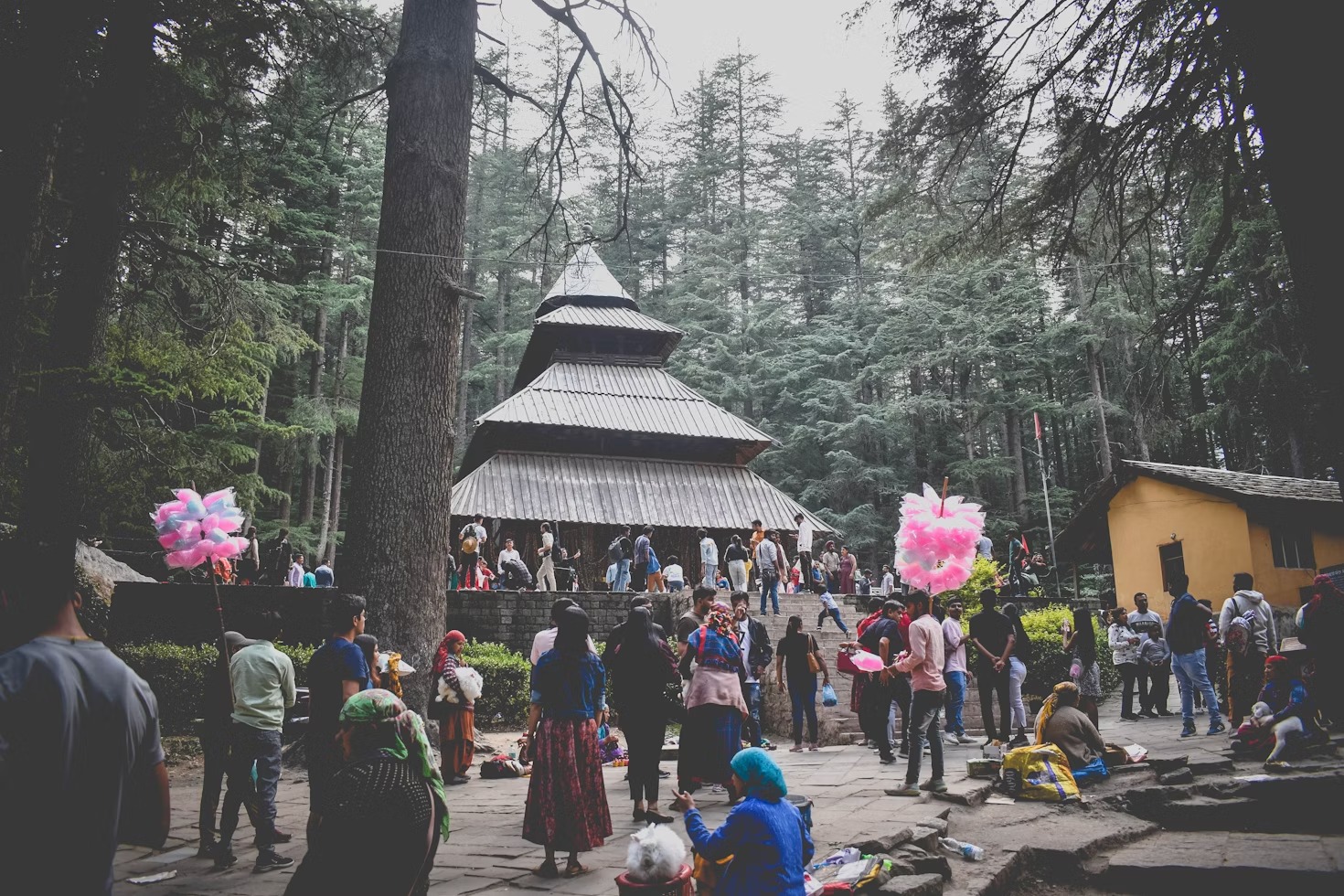 7 Nights 8  days Manali Honeymoon tour