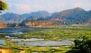 Imphal