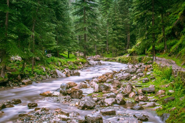 Manali