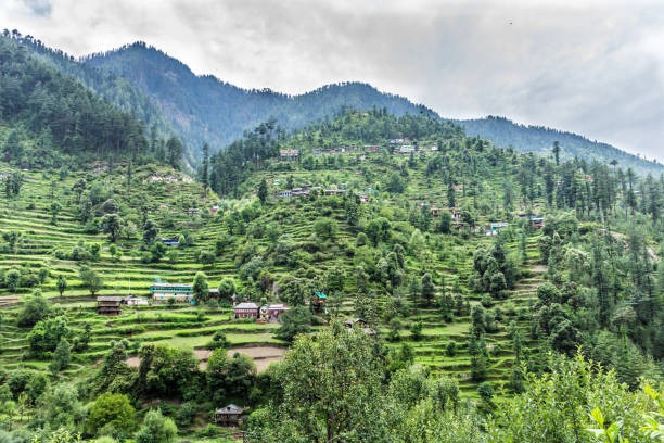 Kasol Jibhi Holiday Plan