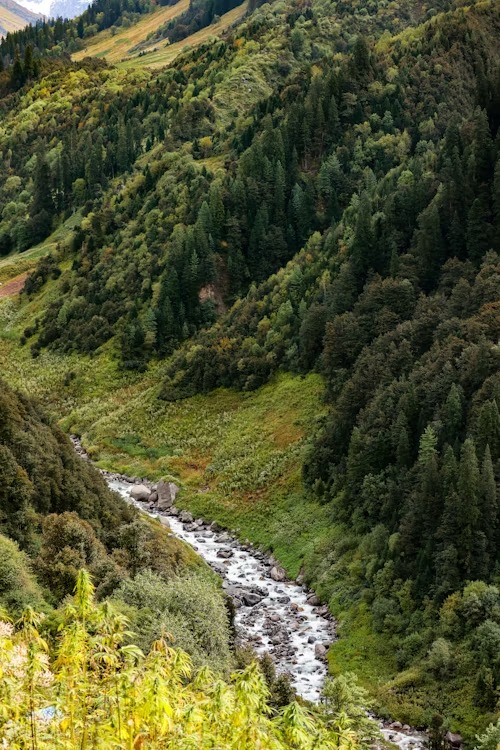 Barot