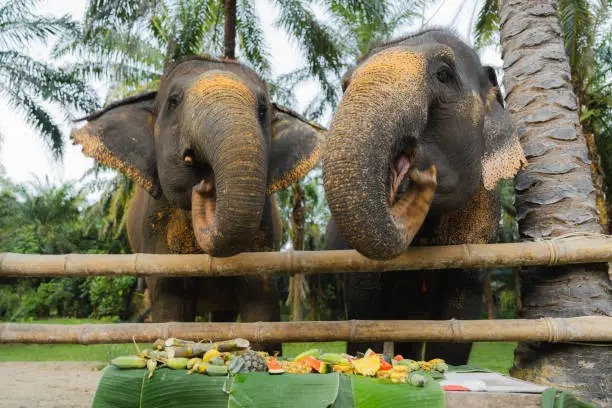 Krabi