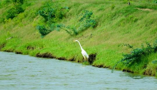 Kerala  summer Tour Packages for 3 Night 4 Days
