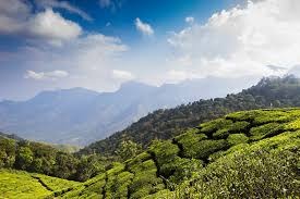Munnar