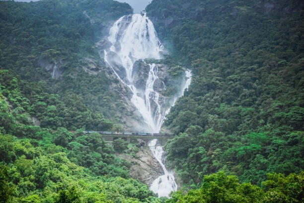 Goa Family Tour Packages for 9 Night 10 Days