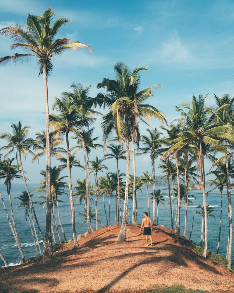 Goa Odyssey: 11 Days of Sun, Culture, and Adventure