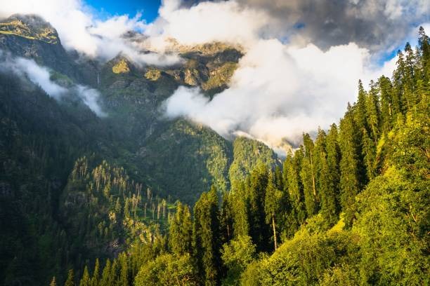 2 Night 3 Days Manali Tour Packages