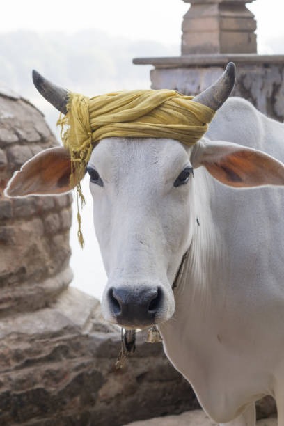 Mathura