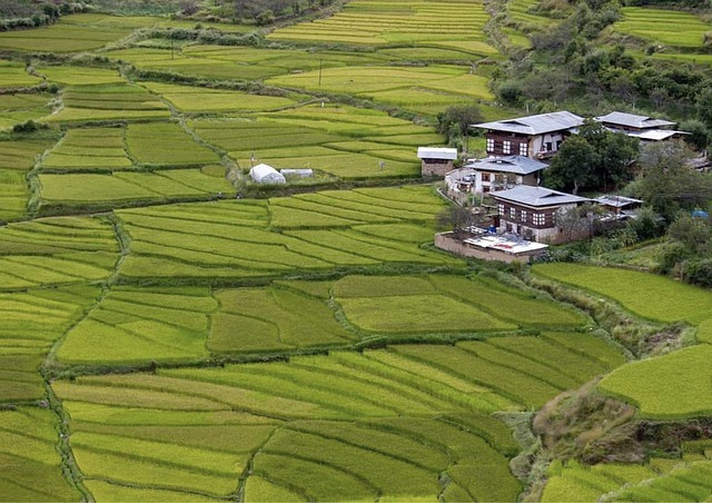 Bhutan Escape: 4 Days of Culture and Beauty
