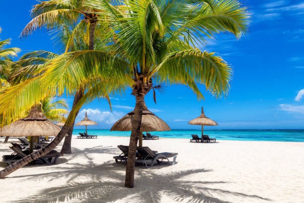 Goa