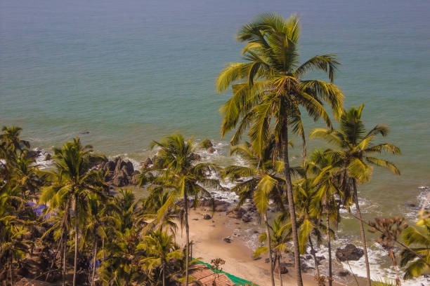 6 Nights, 7 Days Goa Holiday: A Perfect Coastal Escape