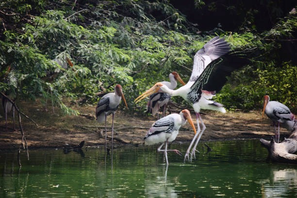 7 Nights, 8 Days Goa Holiday: Sun, Sea, and Serenity