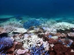 Maldives Couple Tour 8Night 9Days....