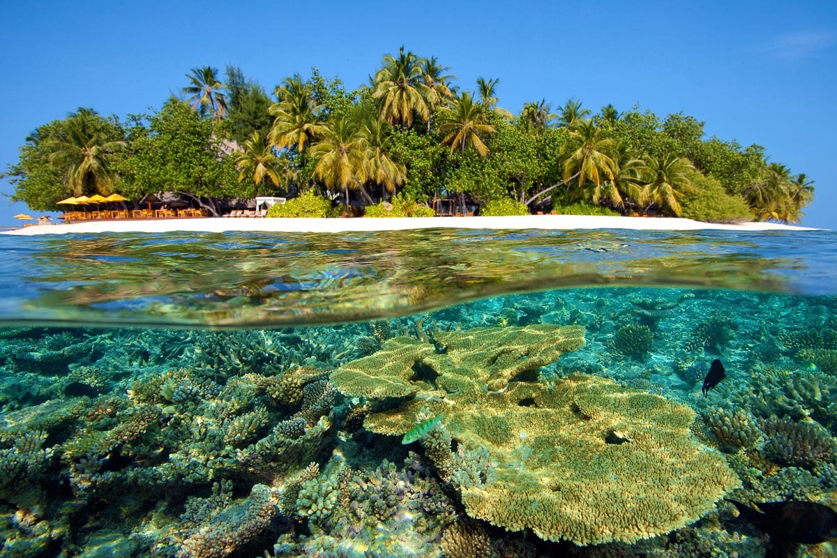Maldives Couple Tour 10Night 11Days....