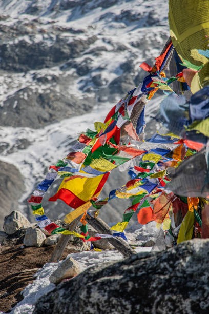 Nepal Adventure: 10 Days of Wildlife, Temples, and Mountains