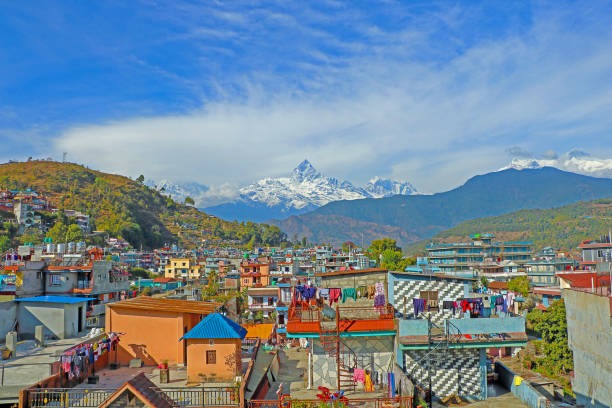 Nepal Odyssey: 7 Nights of History, Nature, and Wildlife