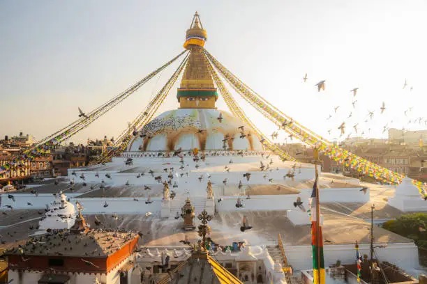 Discover Nepal: A 7-Day Journey Through Culture, Adventure, and Nature