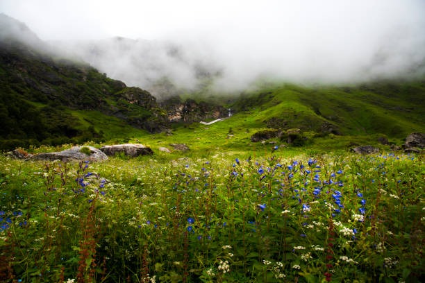 Gangotri